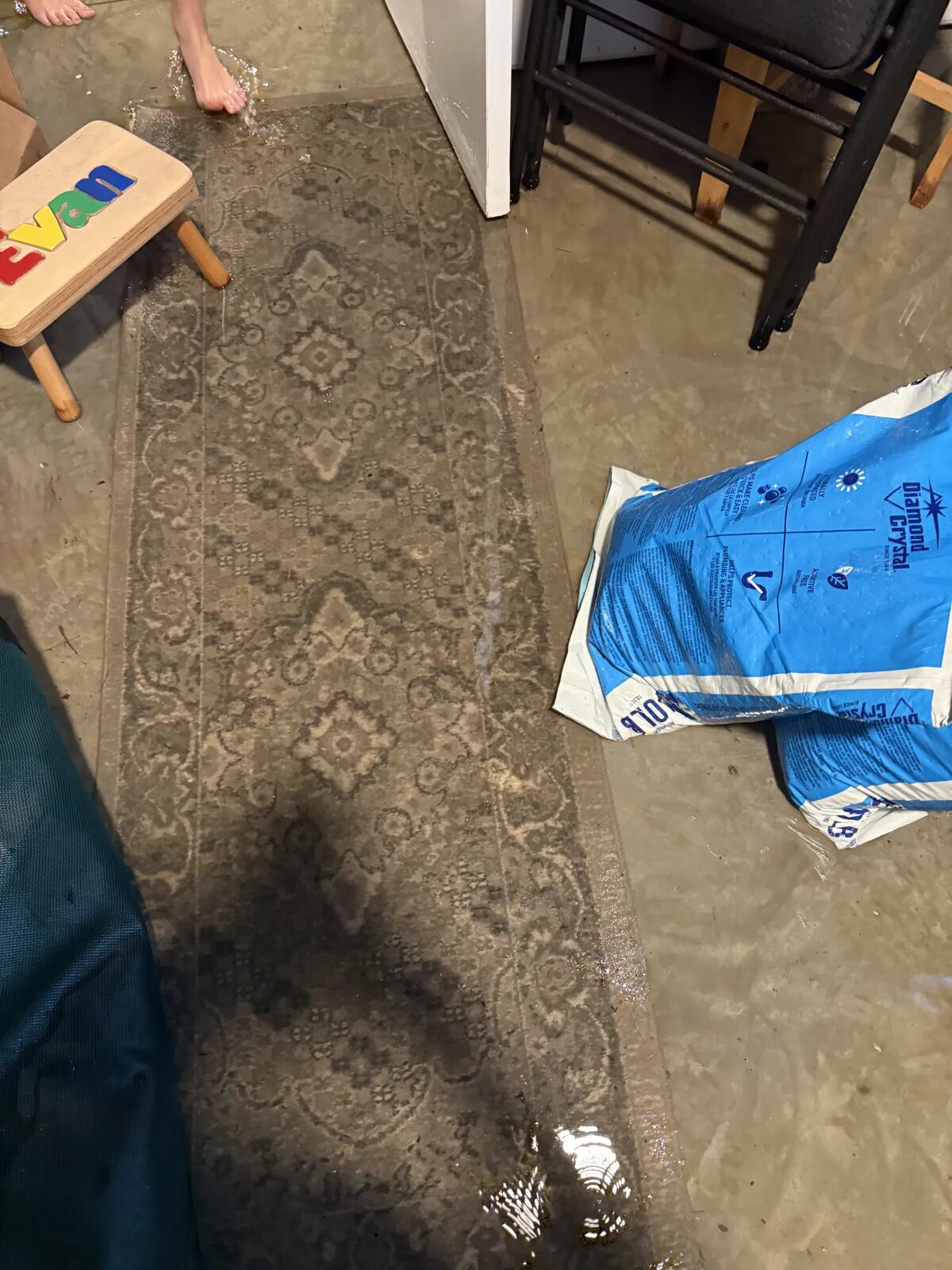 A soaked area rug and standing water in the finished basement, with damaged belongings nearby.